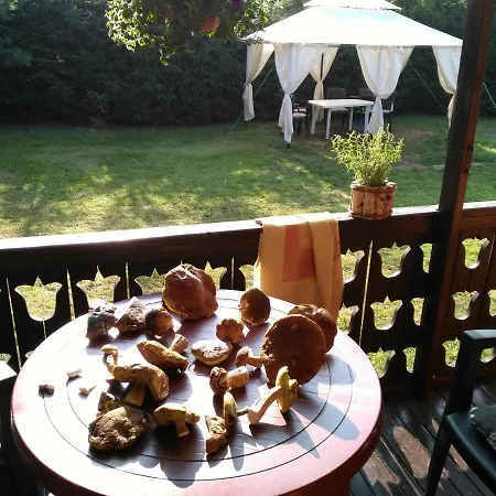Domek Letniskowy U Bozeny Holiday home *